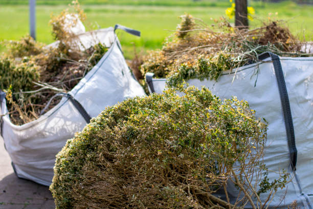 Best Yard Waste Removal  in Ridgely, TN